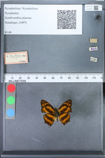 Media type: image;   Entomology 80927